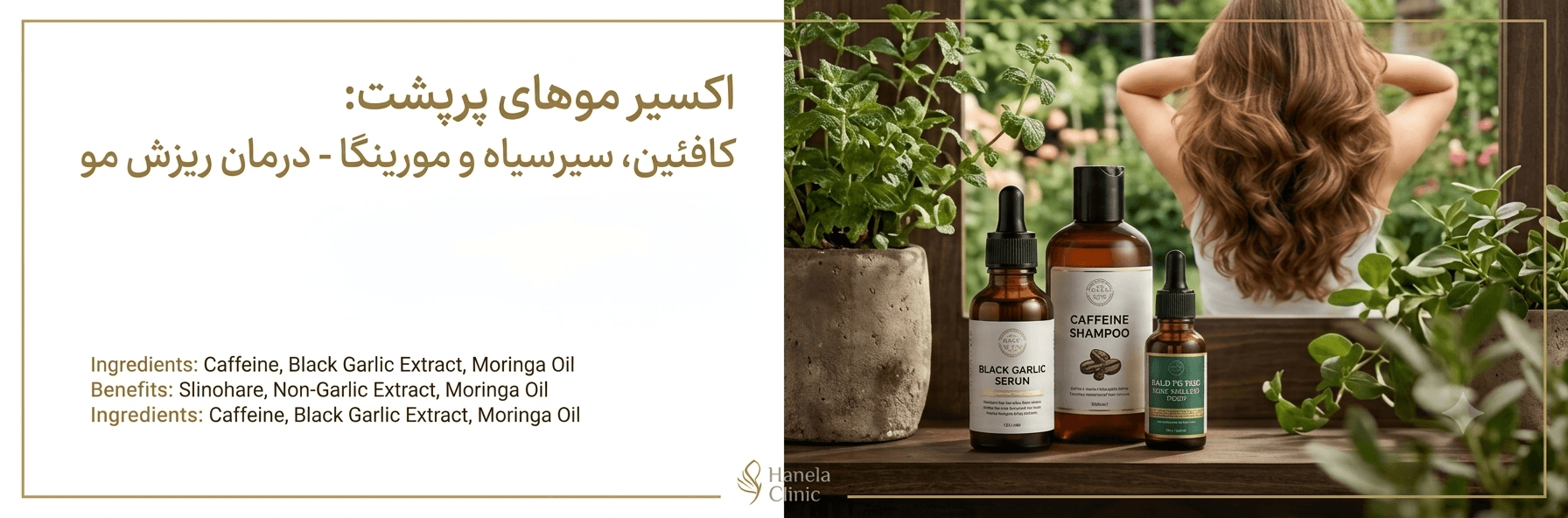 اکسیر موهای پرپشت؛ بررسی تاثیر کافئین، سیر سیاه و مورینگا در درمان ریزش مو